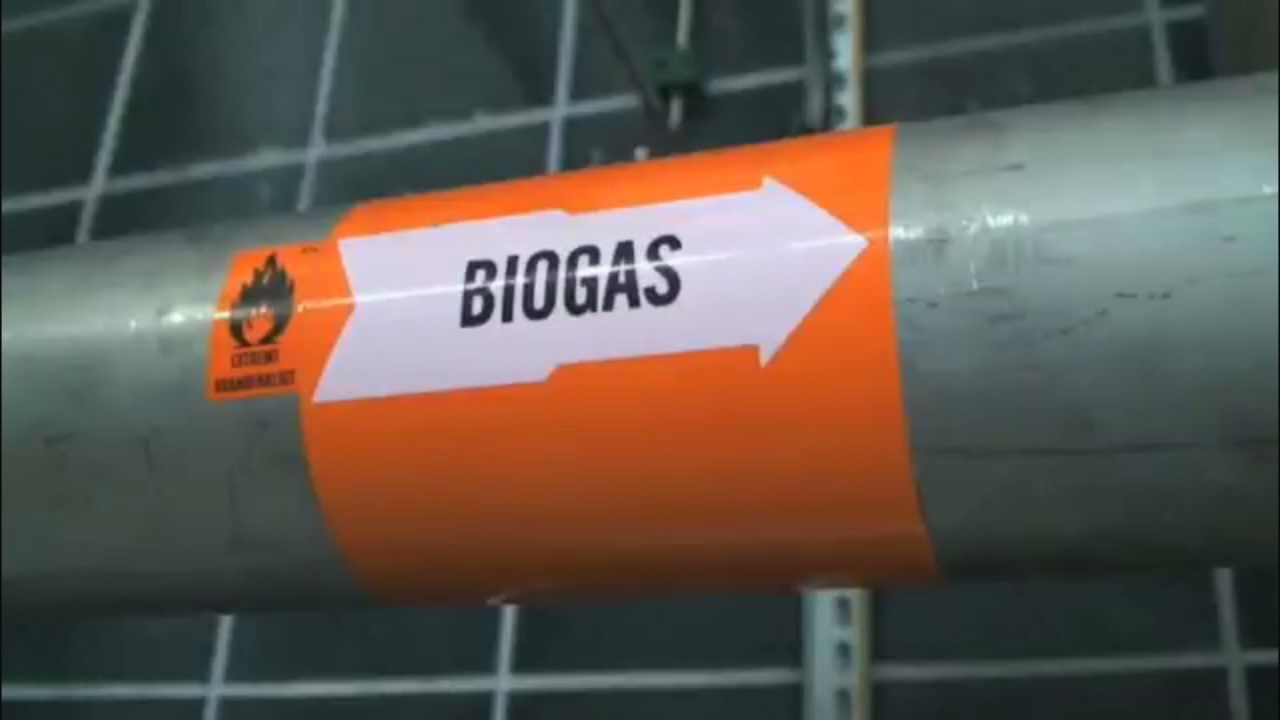 biogas da biodigestione